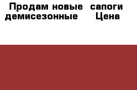 Продам новые  сапоги демисезонные   › Цена ­ 2 000 - Свердловская обл., Каменск-Уральский г. Одежда, обувь и аксессуары » Женская одежда и обувь   . Свердловская обл.,Каменск-Уральский г.